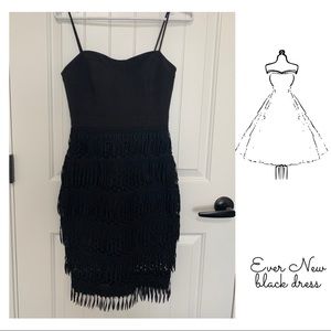 COPY - Black dress | EVER NEW dress | size 2